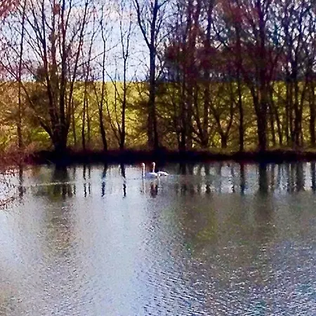 Oda ve Kahvaltı Le Domaine De Charlyne
